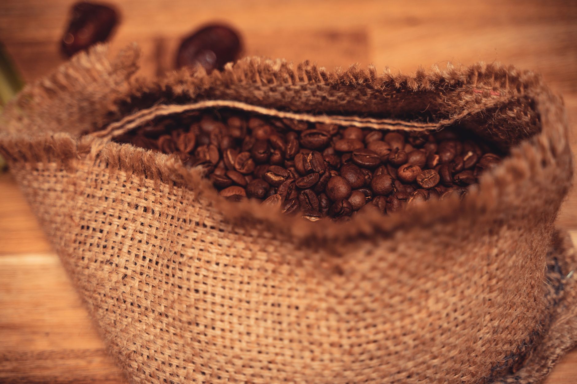 Raw green coffee beans ready for roasting